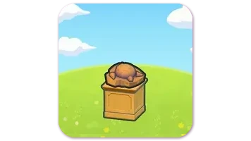 Skull Fossil Display