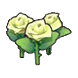 Beautiful flower (white)