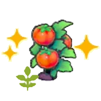 Blooming Tomato plant (Grow)