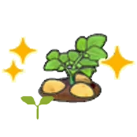 Potato sprout (Grow)