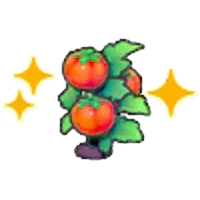 Ripe Tomato plant (Grow)