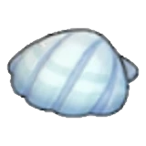 Seashell