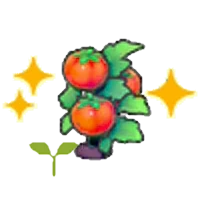 Tomato sprout (Grow)