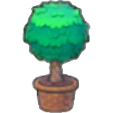 Twisted potted plant