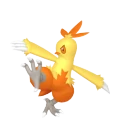 Combusken