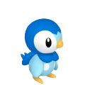Piplup