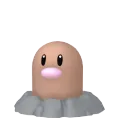 Diglett