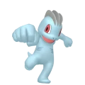 Machop