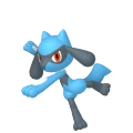 Riolu