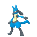 Lucario