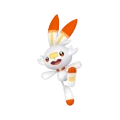Scorbunny