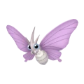 Venomoth