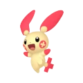 Plusle