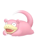 Slowpoke