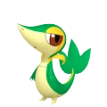 Snivy