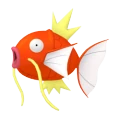 Magikarp