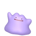 Ditto