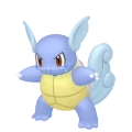 Wartortle