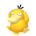 Psyduck