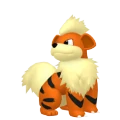 Growlithe